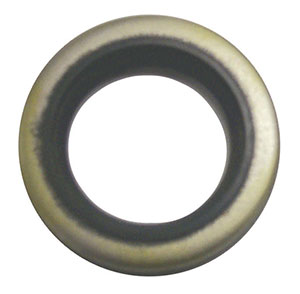 Oil Seal