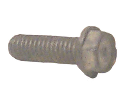 Stainless Steel Screw