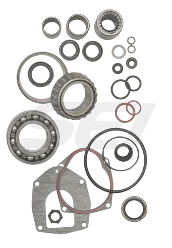 SEAL & BEARING KIT Fits OMC Repair Kit 93-109-700K